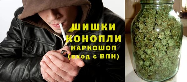 хмурый Тында